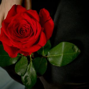 romantic flowers